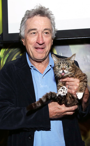 Robert De Niro, Lil Bub Cat Robert De Niro, Lil Bub Cat